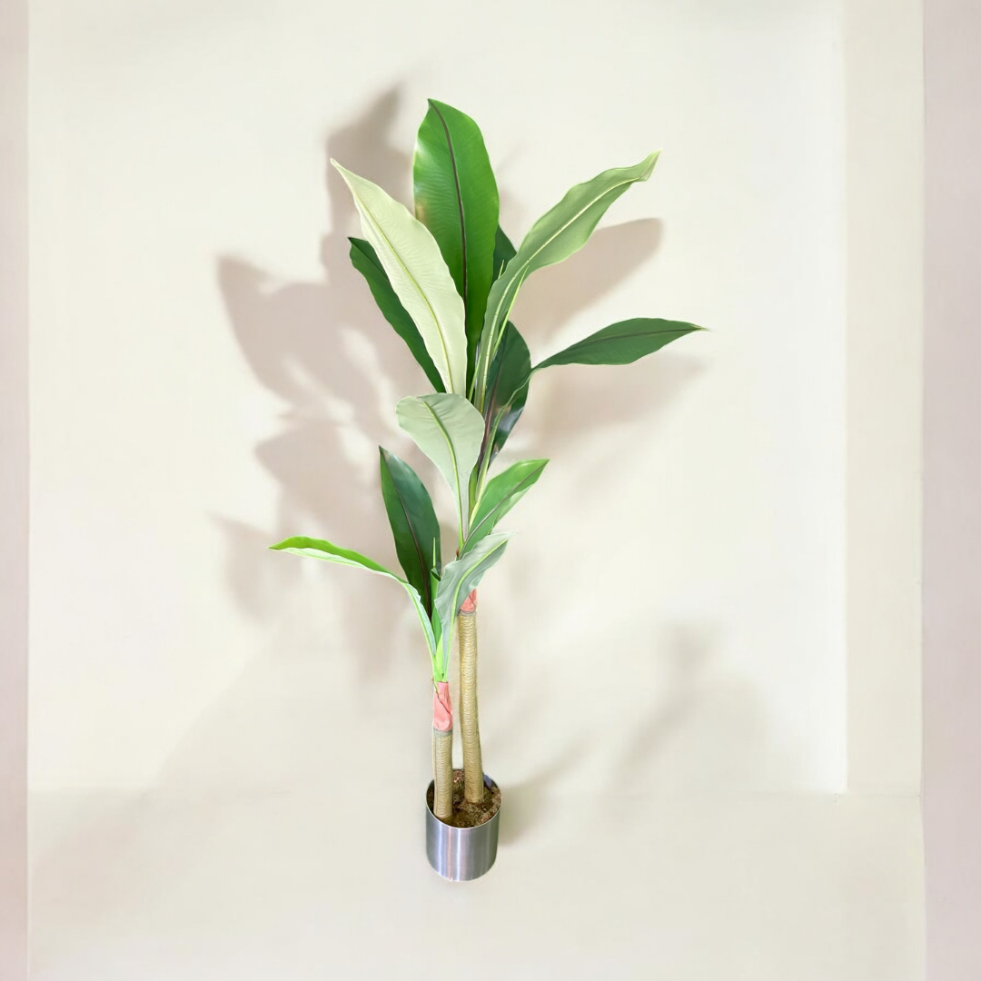 Yapay Muz Ağacı 220 cm