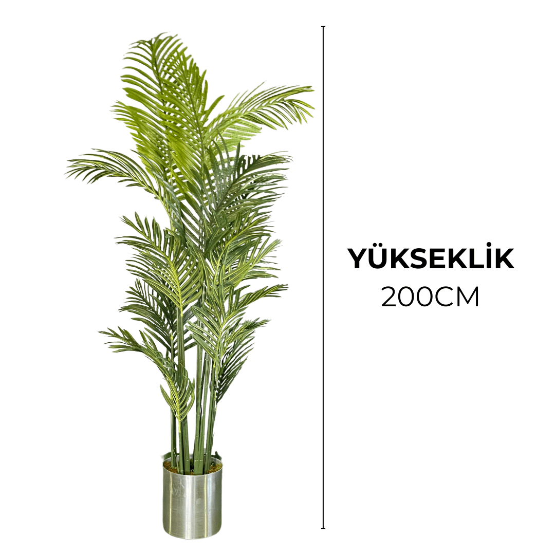 Yapay Areka Ağacı 200cm - MuunsDeco