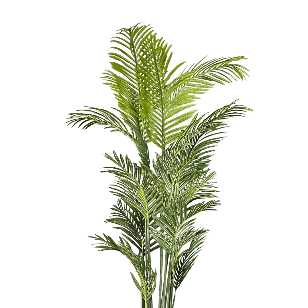 Yapay Areka Ağacı 200cm - MuunsDeco