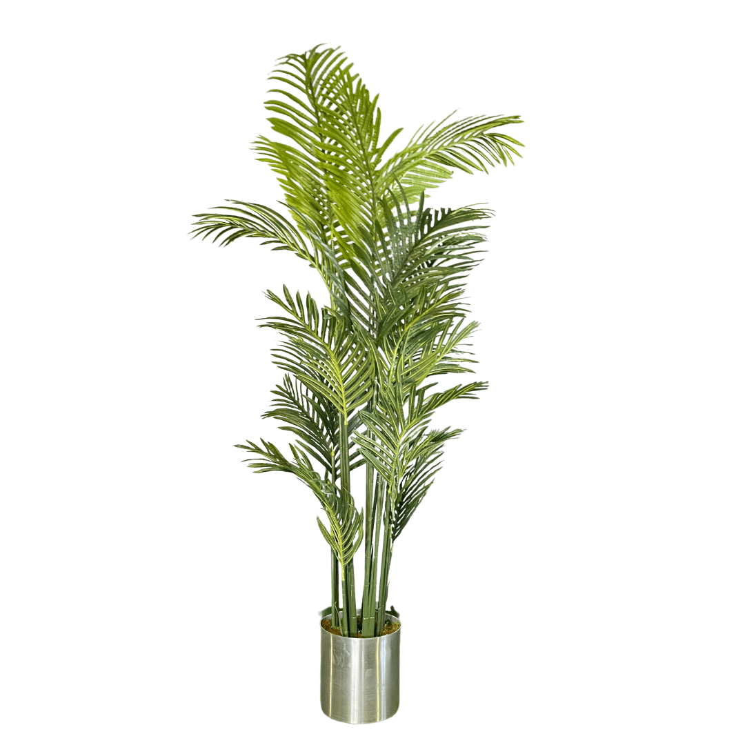 Yapay Areka Ağacı 200cm - MuunsDeco