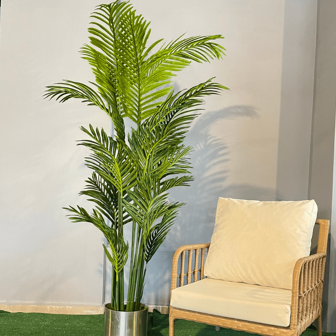 Yapay Areka Ağacı 200cm - MuunsDeco