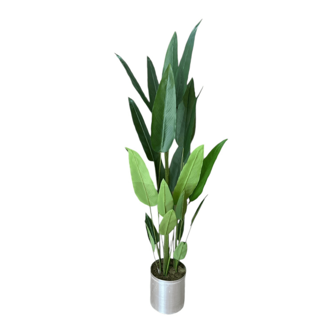 Yapay Starliçe 190cm 21 Yaprak - MuunsDeco
