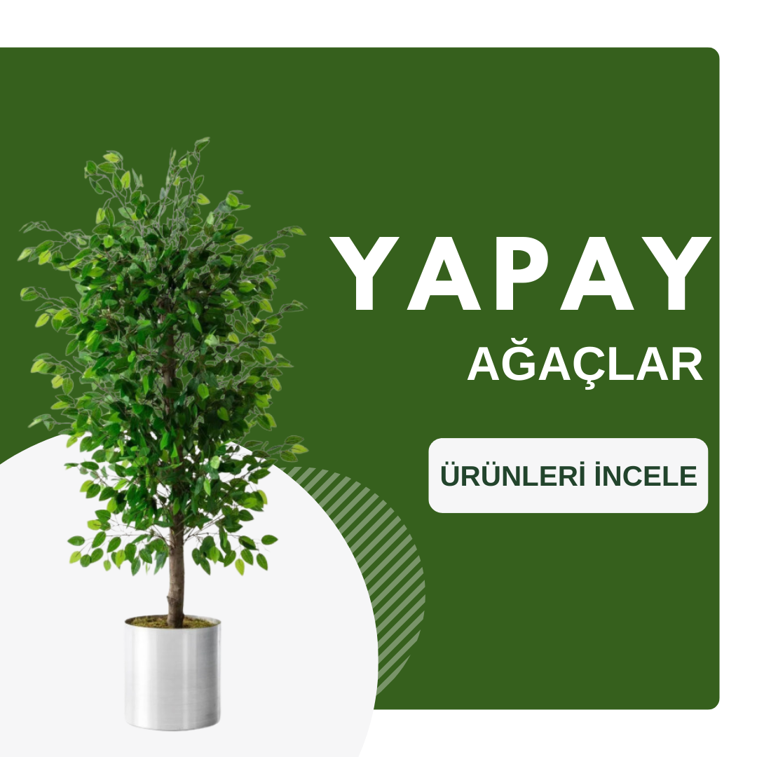 Yapay Ağaçlar