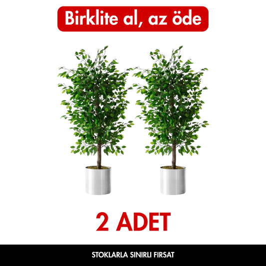 Yapay Benjamin Ağacı 180cm - İKİLİ FIRSAT