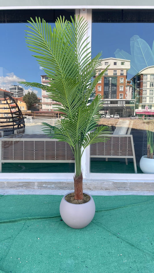 190 cm Areka Ağacı